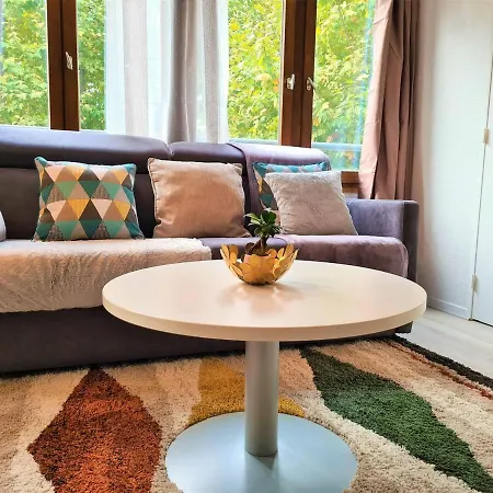 Joli T2 Lumineux Et Cosy Au Centre D'annecy *